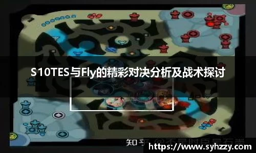 S10TES与Fly的精彩对决分析及战术探讨